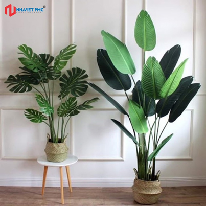 Tại sao Cây xanh và Bể cá thường được sử dụng để kích hoạt Năng lượng tốt